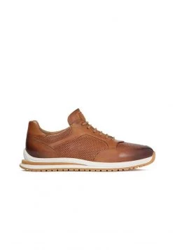 Aktion ⭐ Kazar ALVIS - MEN’S BLACK LEATHER DECORATED WITH PERFORATION - 👟 Sneaker Low - Brown | Herren 😍